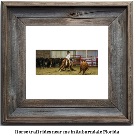 horse trail rides near me in Auburndale, Florida